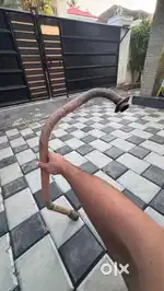 Fz bike bend pipe