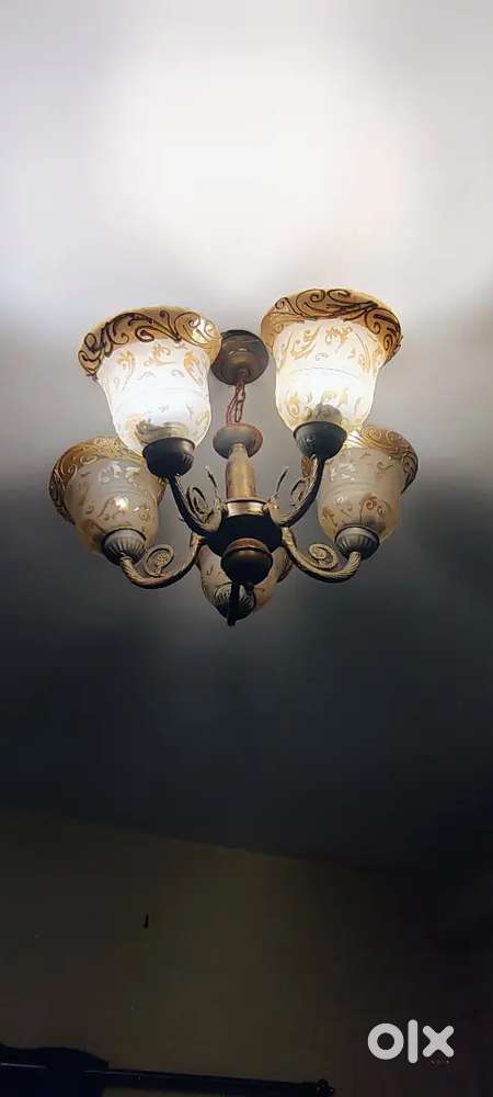 Chandelier 1 year old