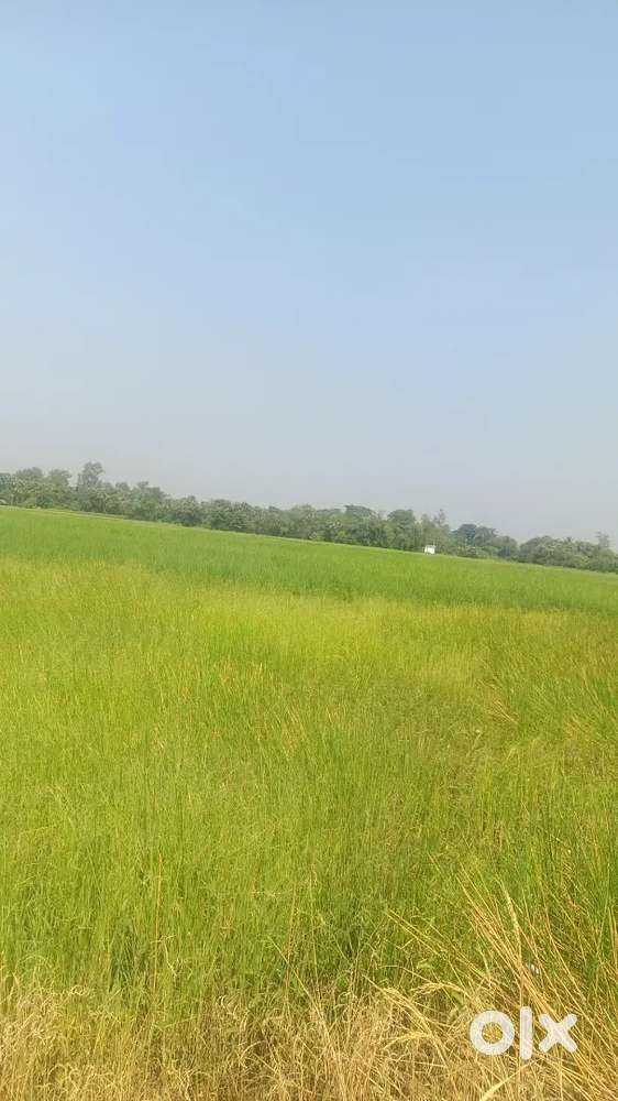 Land Available near Sonarpur Piyali station with 100 percent cashback