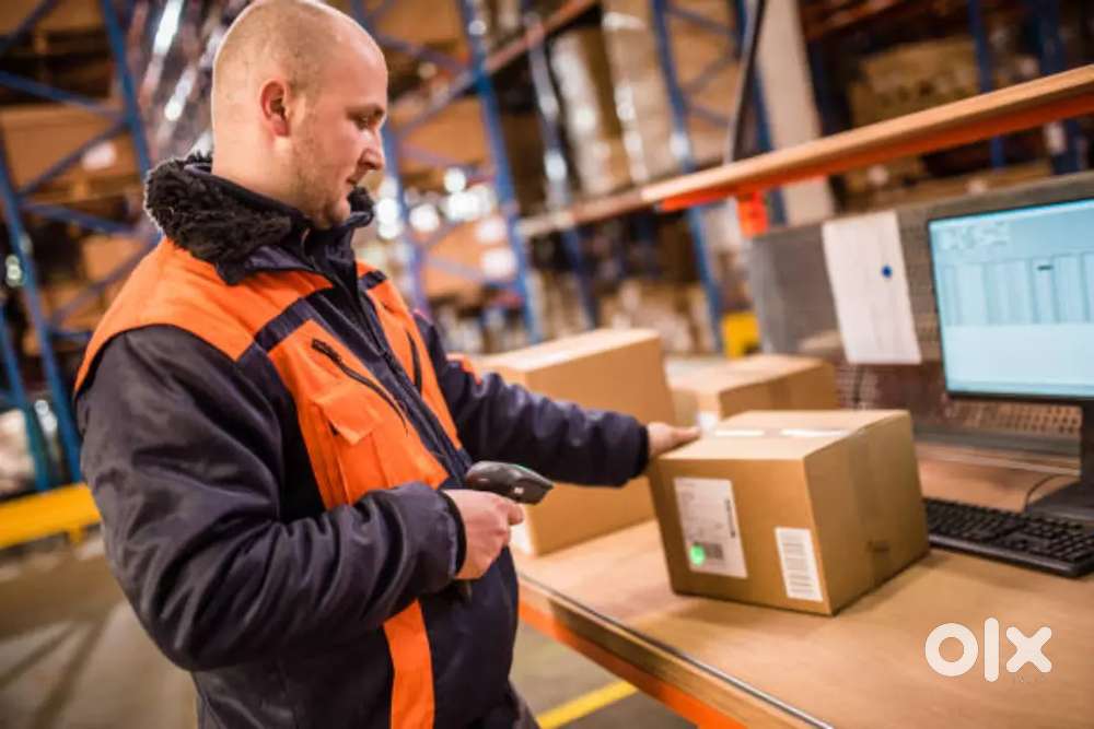 Apply now for warehouse freshers