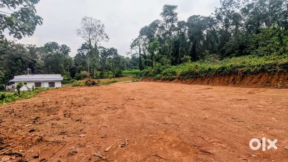 8.5 സെൻ്റ് പ്ലോട്ട് ഉടൻ വിൽപ്പനക്ക്