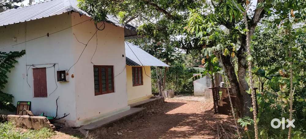 Indipendent House for rent