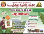 1/4 acer agriculture farm lands with Red sandal wood plants for sale