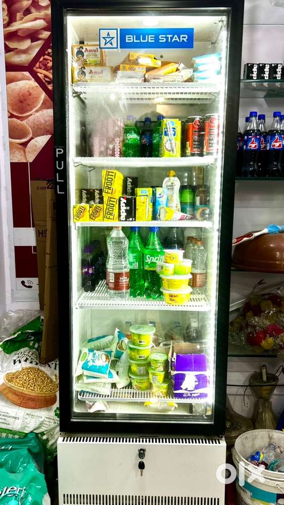 Blue Star 375L Display Cooler – Excellent Condition  With Bill