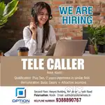 Tele Sales  Executive