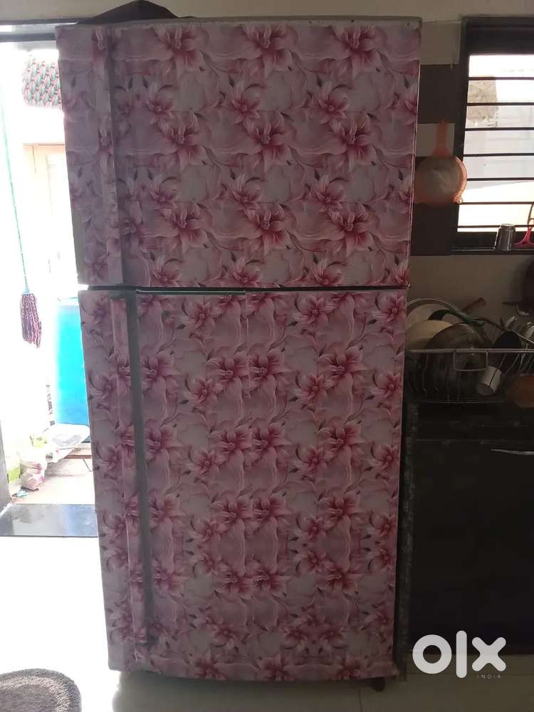 Double door biggest refrigerator