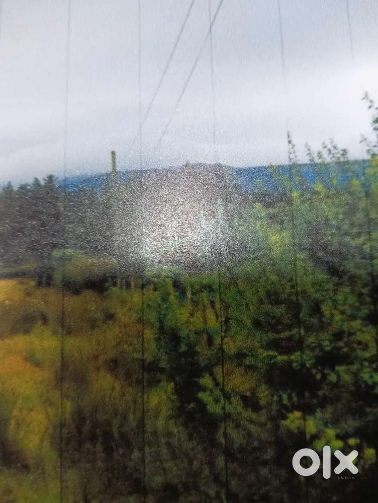 74 Bigha premium Land parcel for sale in Ujjain@ 6 CR per Bigha