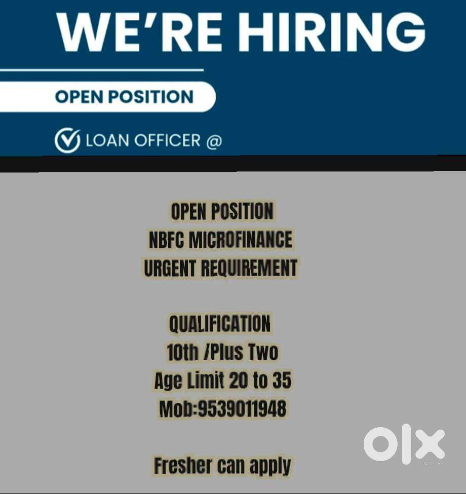 COLLECTION EXECUTIVE