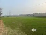 Farm land for sale in natures beauty
