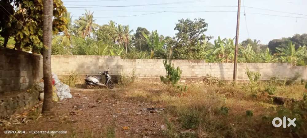 9.75 CENTS FOR SALE (3.25 LAKHS PER CENT)