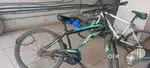 1 year old cycle