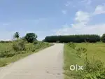 Tiruvallur to tirupati Highway Road near