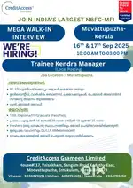 Credit access grameen ltd company