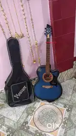 Pleasure guitar 5star