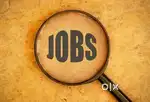 Data entry operator Documents verification Tele calling