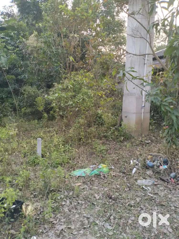 Plot with 52 decimal with house, Location - Haur ,Rajhati