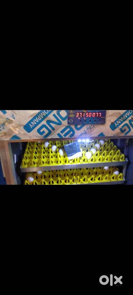 INCUBATOR EGG INCUBATOR 100 EGGS