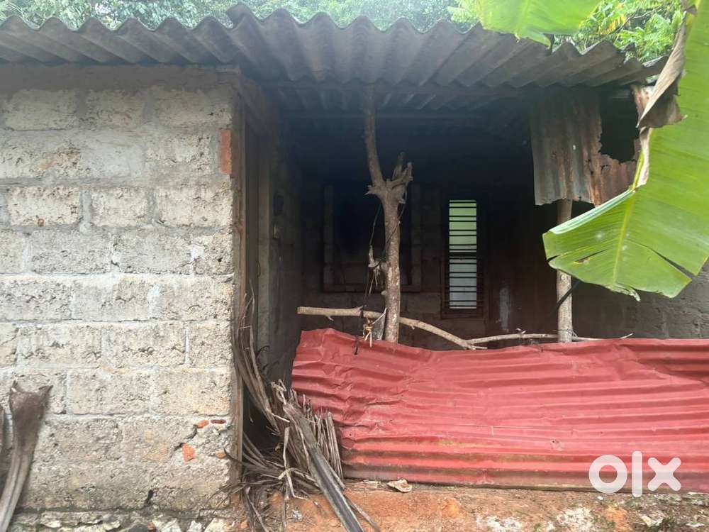 Urgent sale ആലംകൊട്(puliyarakonam) 5 cent വിൽപ്പയ്ക്ക്