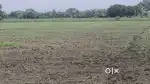 25ekad agricultural land