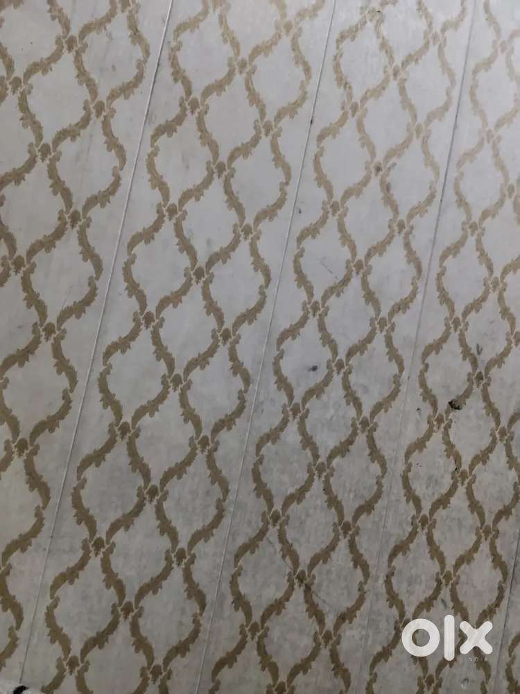 Male Cook  for tiffin services