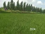 8 Katha jomi sell Road er opor