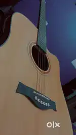 Acoustic guitar