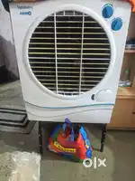 Symphony cooler