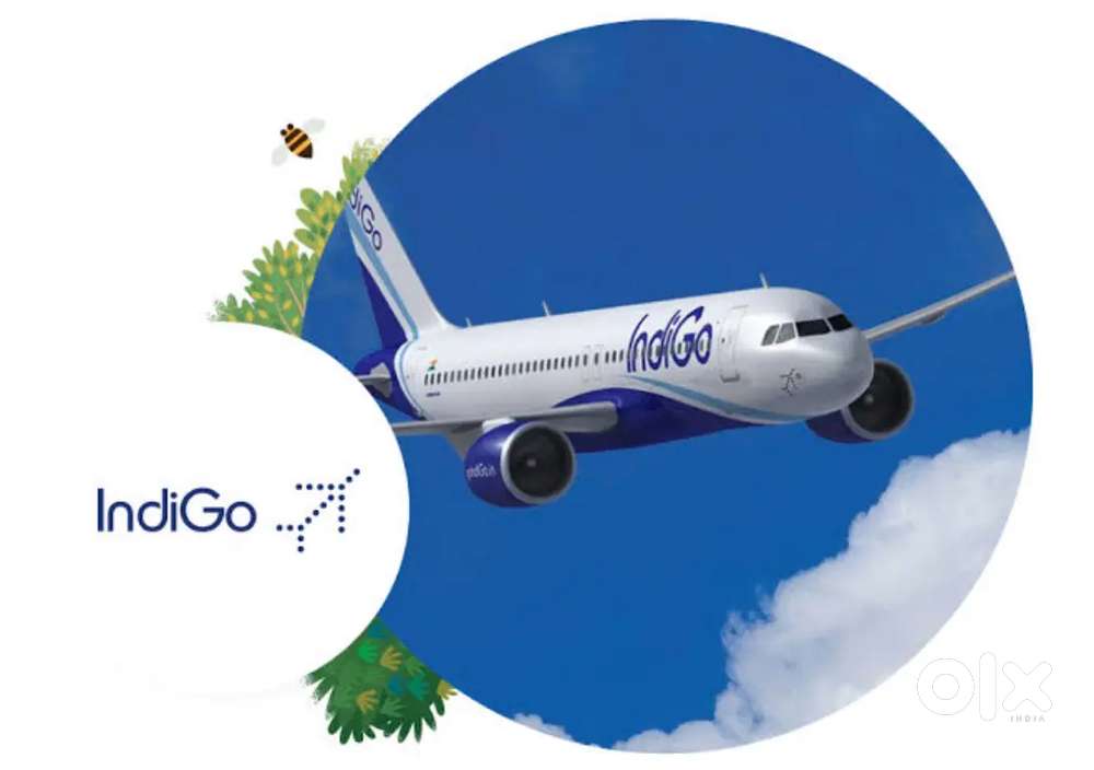 Hiring for Cabin Crew/Ticketing /Ground Staff Jobs in Indigo airlines.