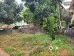 5 cent plot near kochottukonam, pozhiyoor road