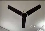 Heavy Duty Ceiling fan in Good Condition