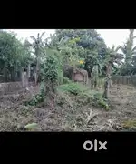 Myadi land 2 katha 2.5 lussa(Thana gali, Chiring chapori