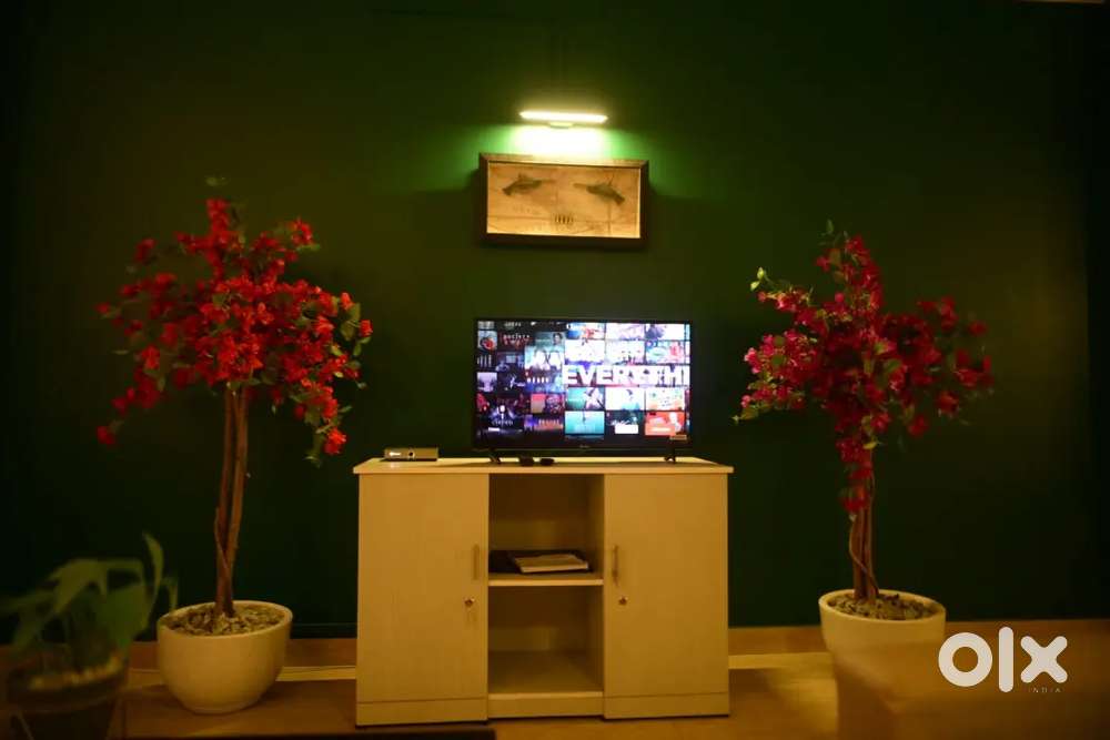 Cleaning And Caretaker