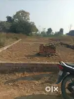 Green colony