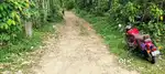 80 CENT LAND FOR SALE AT ANGAMALY