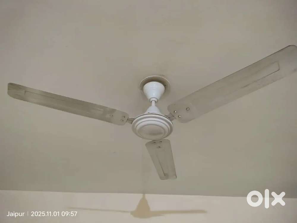 Orient fan. 5 fans for 1200x5.