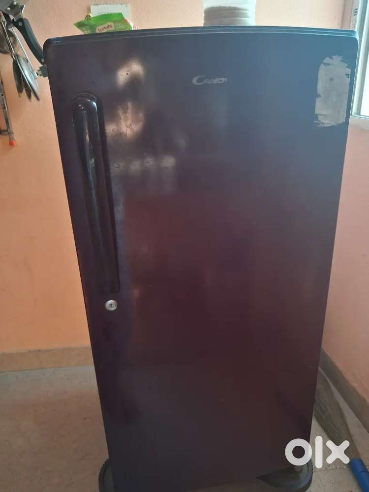 Fridge 175 Candy Comapany