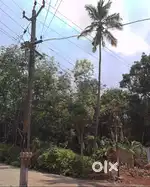 2 Acre Tapping Rubber plot for sale in Vattappara Jn