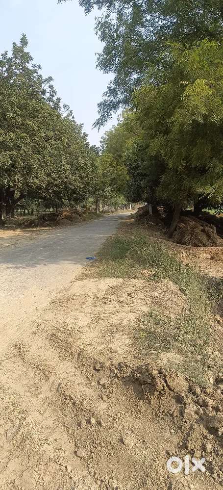 पिंडरा मार्केट के पास में प्लॉट खरीदे तुरंत मकान बना कर रहने योग्य