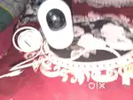 Cp plusbcamera