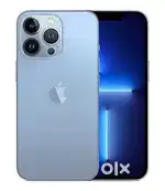 13 pro max
