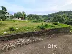 Plot for rent
