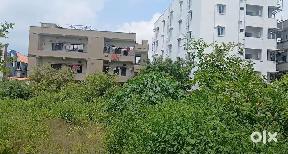Plot Sale & Development