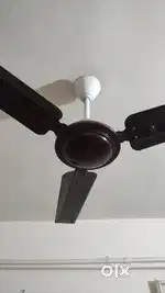 New Ceiling fan
