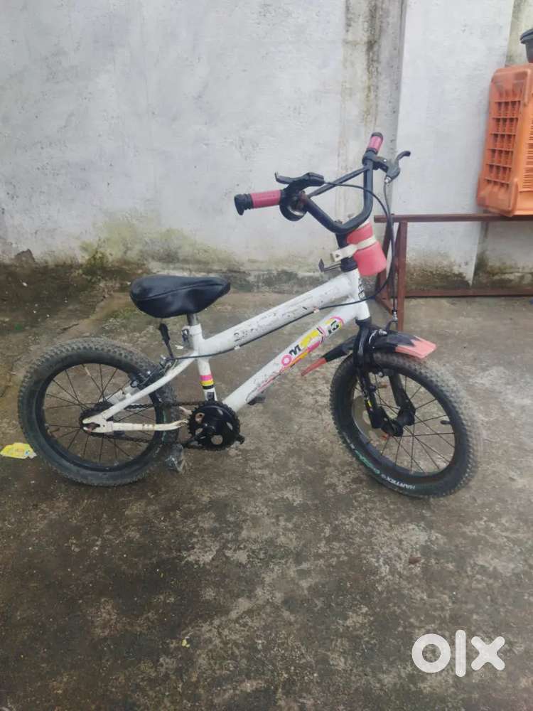 2023 Bicycle  best