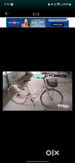 bsa lady bird pink