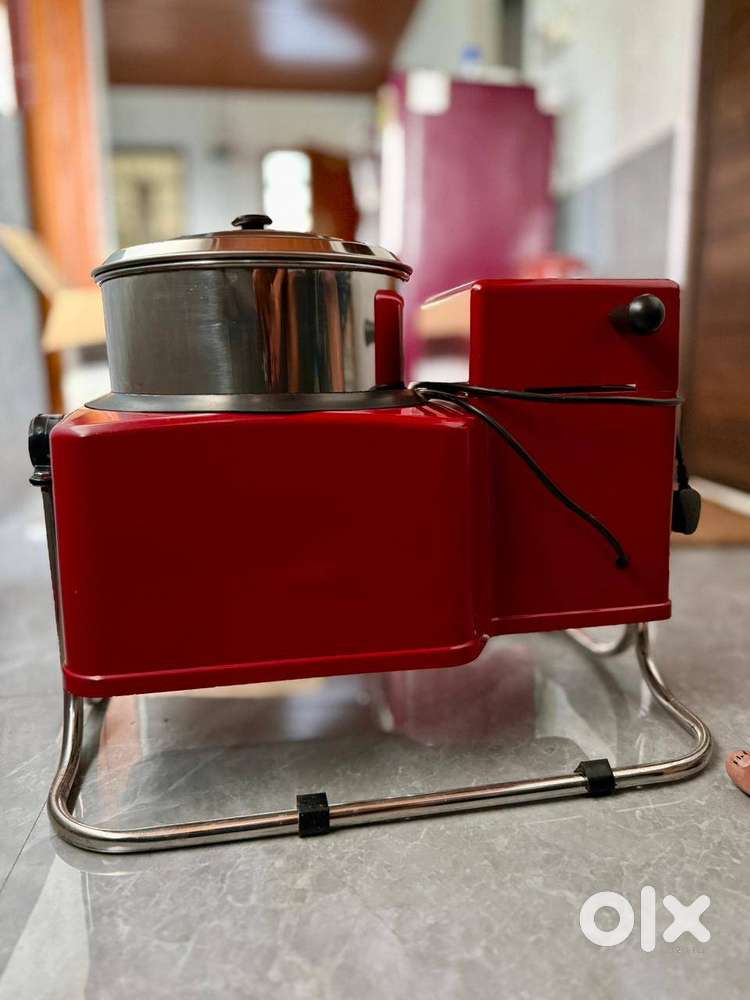 Vijayalakshmi tilting grinder