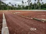 MANANAK PALLIMUCKU