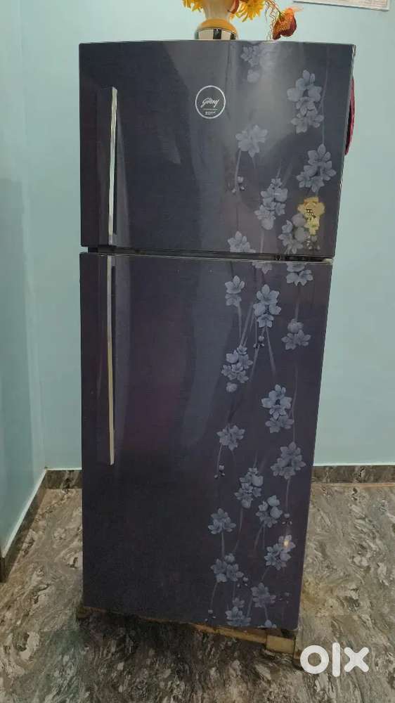 Refrigerator - Godrej Eon 241 litre double door