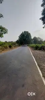 Agriculture Land Sale in Mangaon Nijampur Road Touch ( Highway )