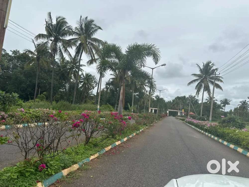 Sites @ABM INFOCITY- Bidadi- Mysore road